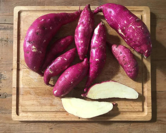 Murasaki Sweet Potatoes - Caney Fork Farms