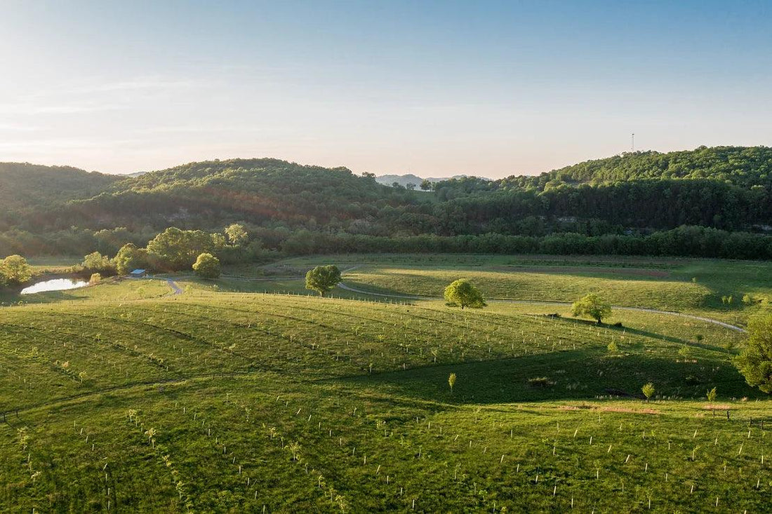 Welcome to our blog! - Caney Fork Farms
