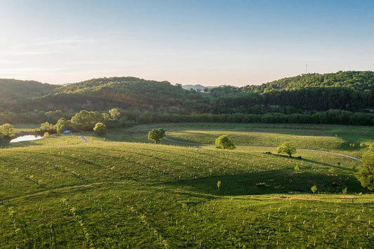 Welcome to our blog! - Caney Fork Farms