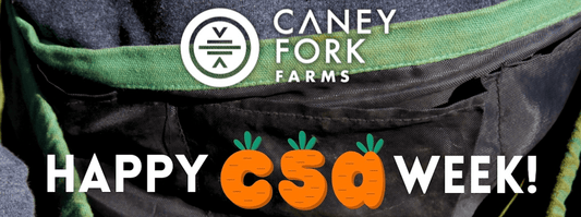 Celebrating National CSA Week: Supporting Local Farmers, Nourishing Our Community - Caney Fork Farms