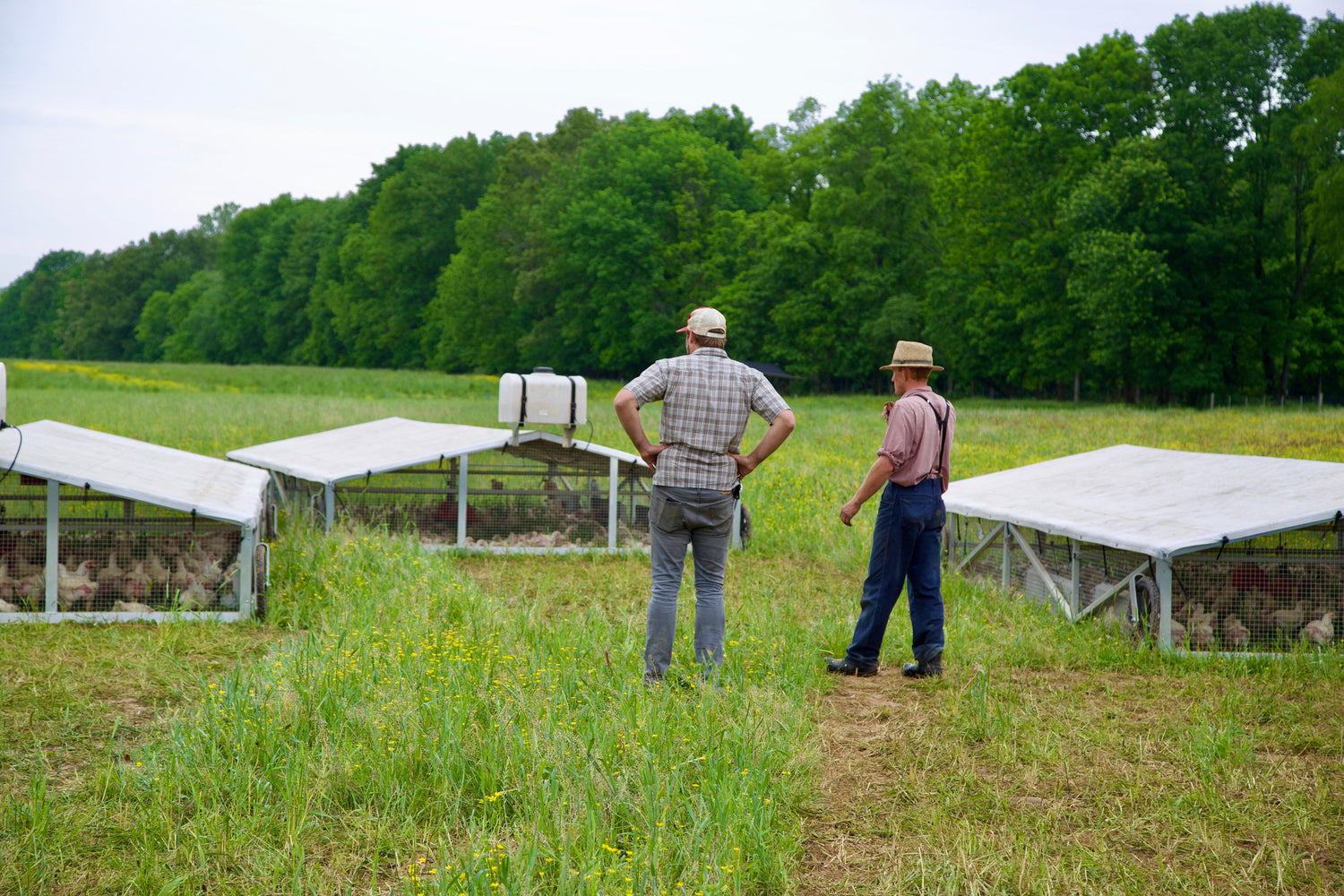 CEE3E290-13C8-4E6E-9478-D586A549AA0C_1_201_a - Caney Fork Farms