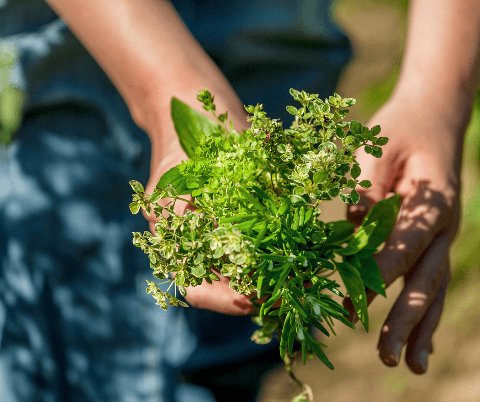 Copy_of_FAQ_1 - Caney Fork Farms