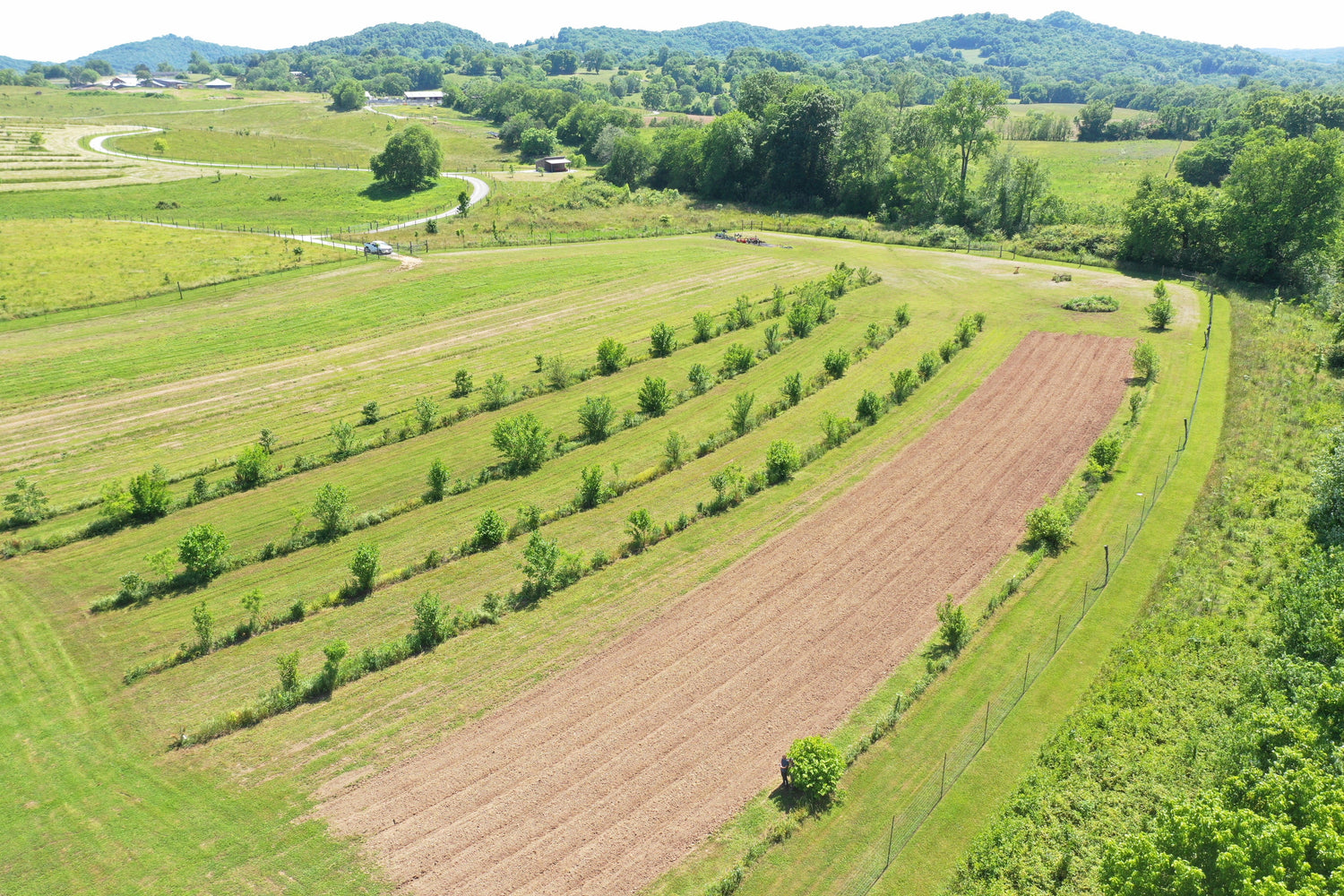 DJI_0055_1 - Caney Fork Farms