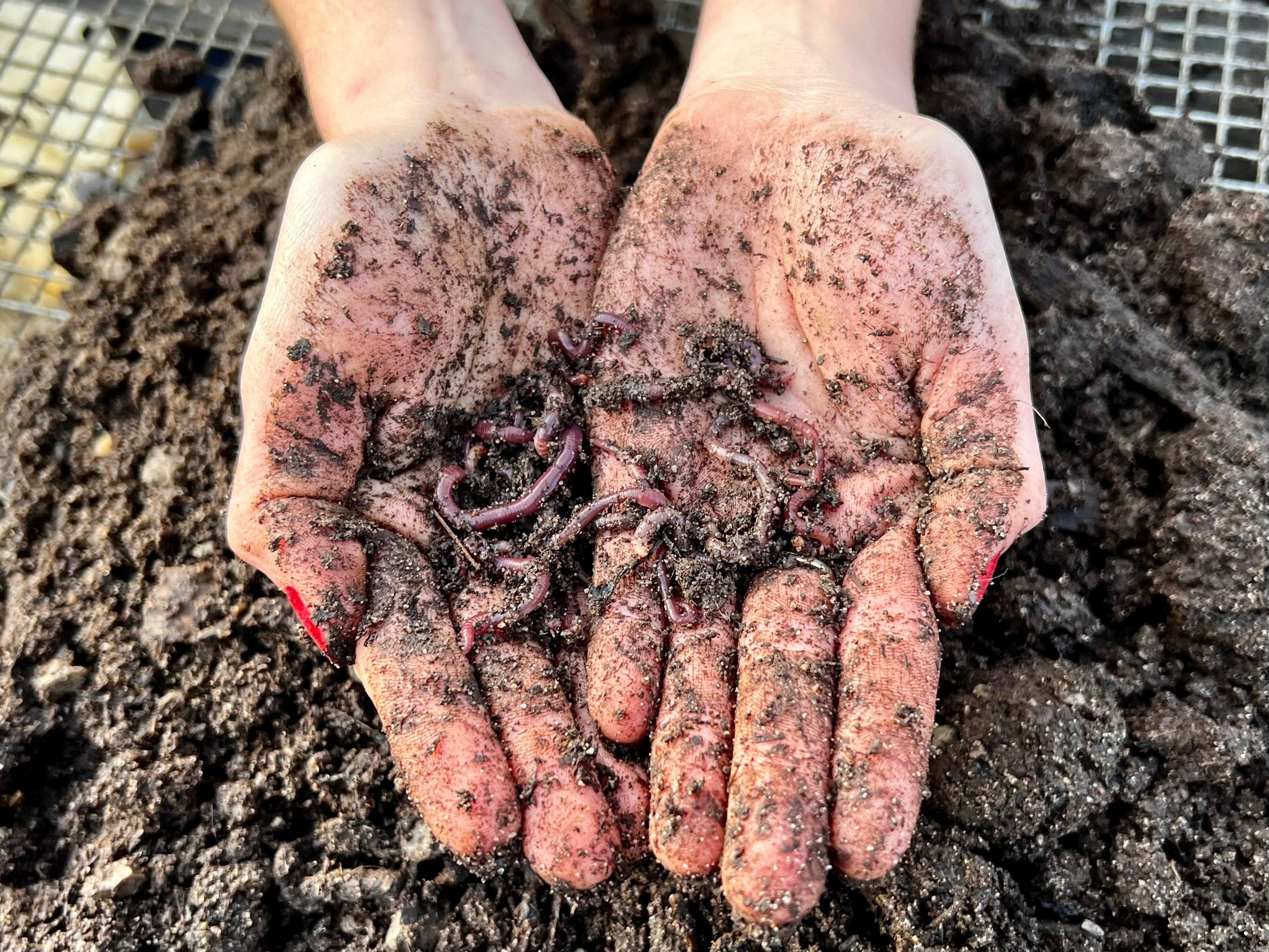 Compost