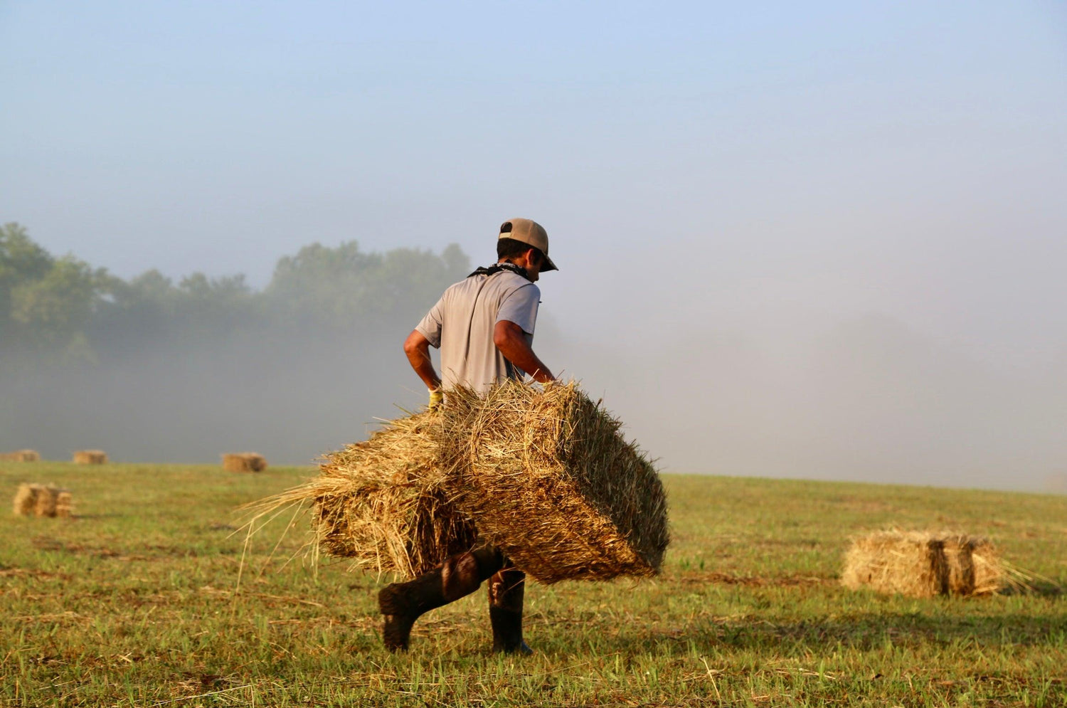 hay - Caney Fork Farms