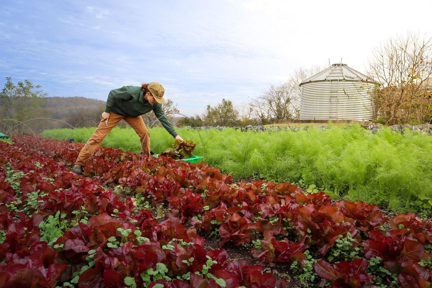 organic veggies near Nashville TN