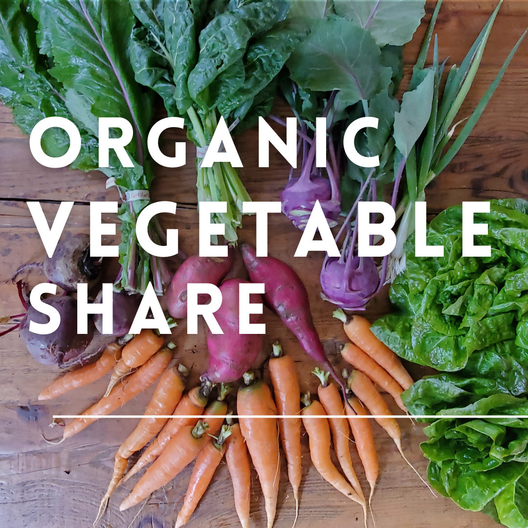 Organic Vegetable Farm Share