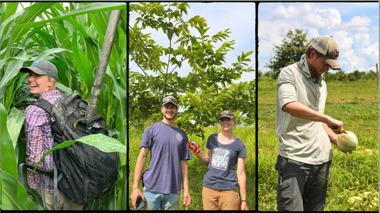 Skidmore Interns Dig Into Regenerative Research at Caney Fork Farms