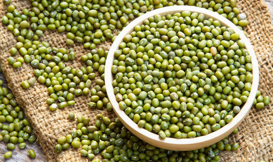 Growing Mung Beans in Tennessee: A New Legume for Sustainable Farming