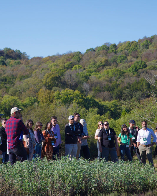 The Whole System: Where Our Farm Fits in a Global Movement