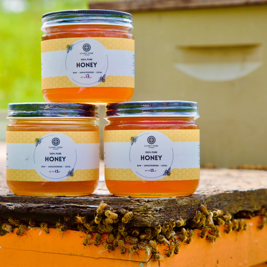 How Bees Support Regenerative Farming at Caney Fork Farms