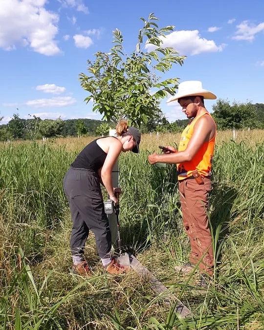 10 weeks of research & farming with Skidmore students - Caney Fork Farms