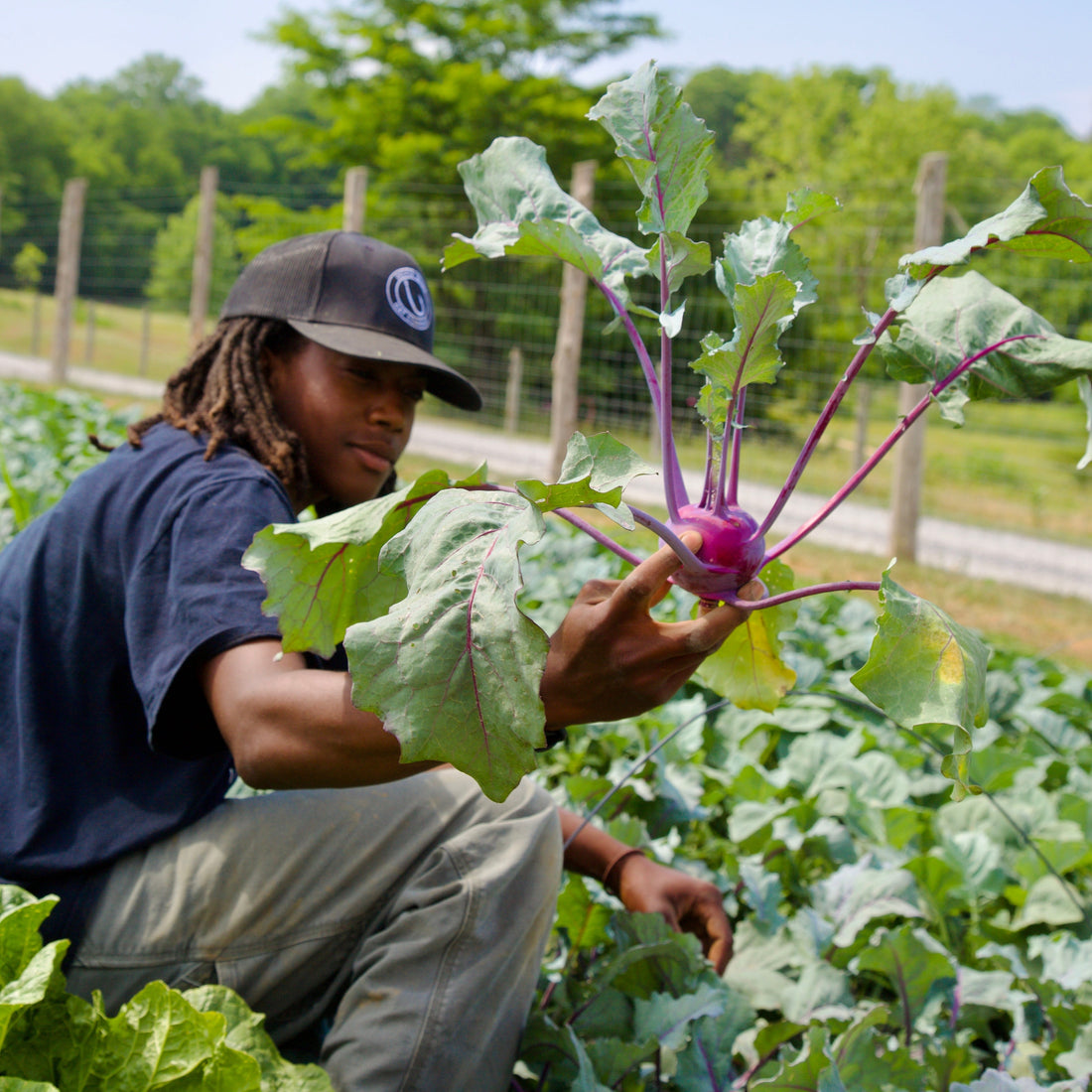 What We Mean When We Say Food Is Medicine