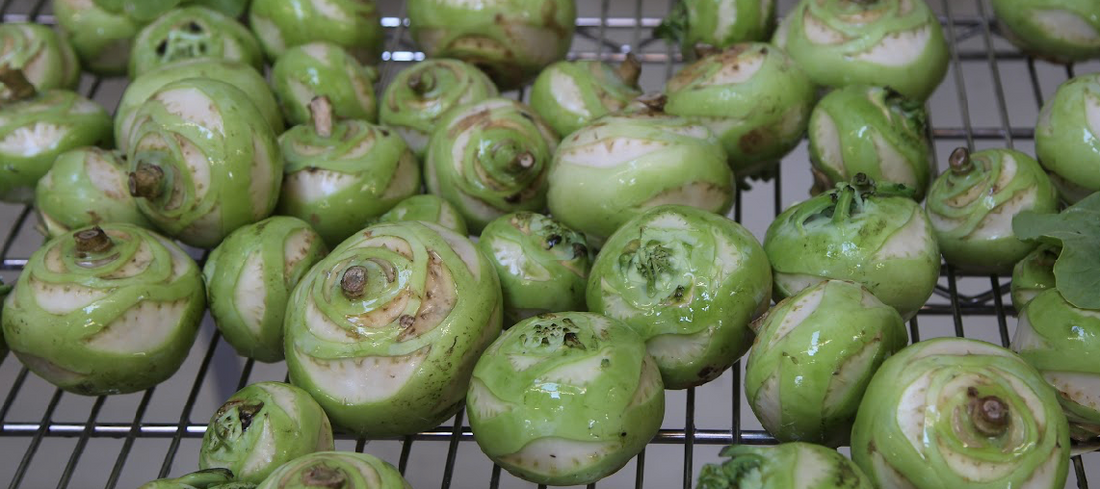 Kohlrabi - The Underdog of Winter Veggie CSAs