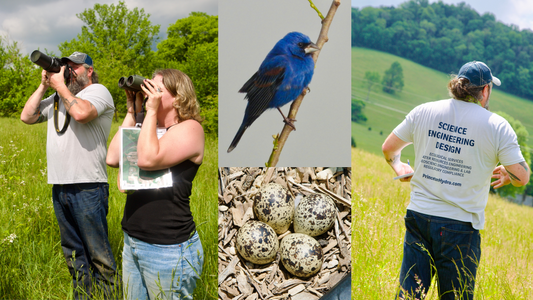 What the Birds Are Telling Us: New Research and Old Songs at Caney Fork Farms