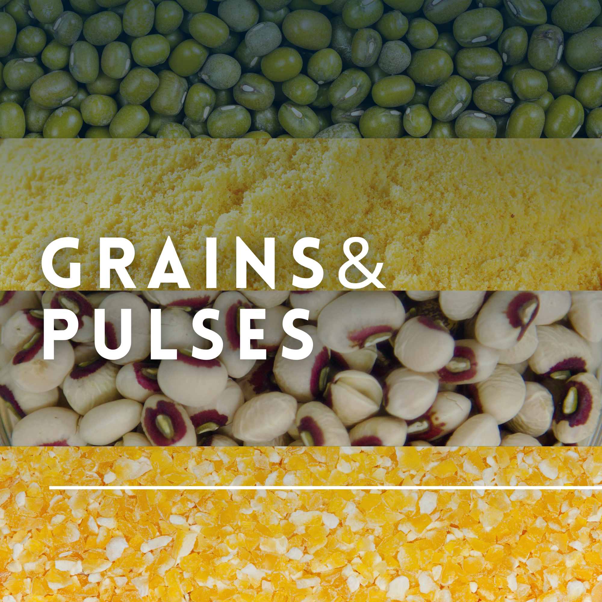 Grains & Pulses – Caney Fork Farms