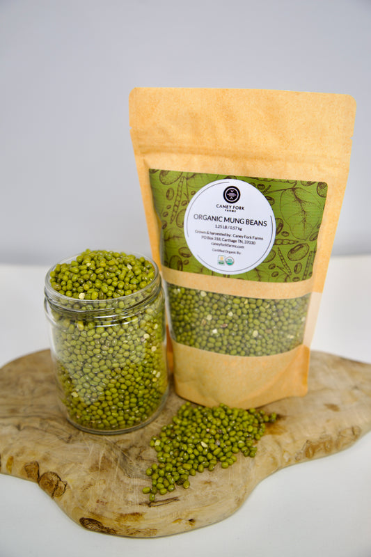 Organic Mung Beans – Fast-Cooking Plant Protein