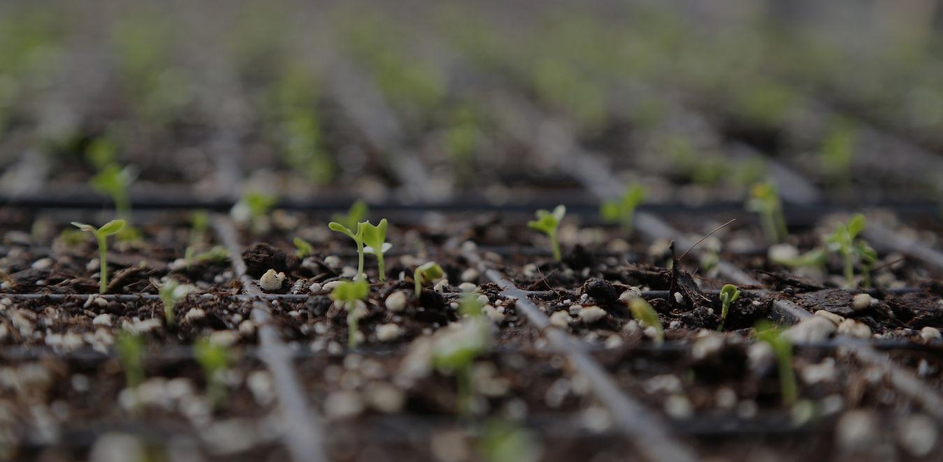 Open Positions at the Farm