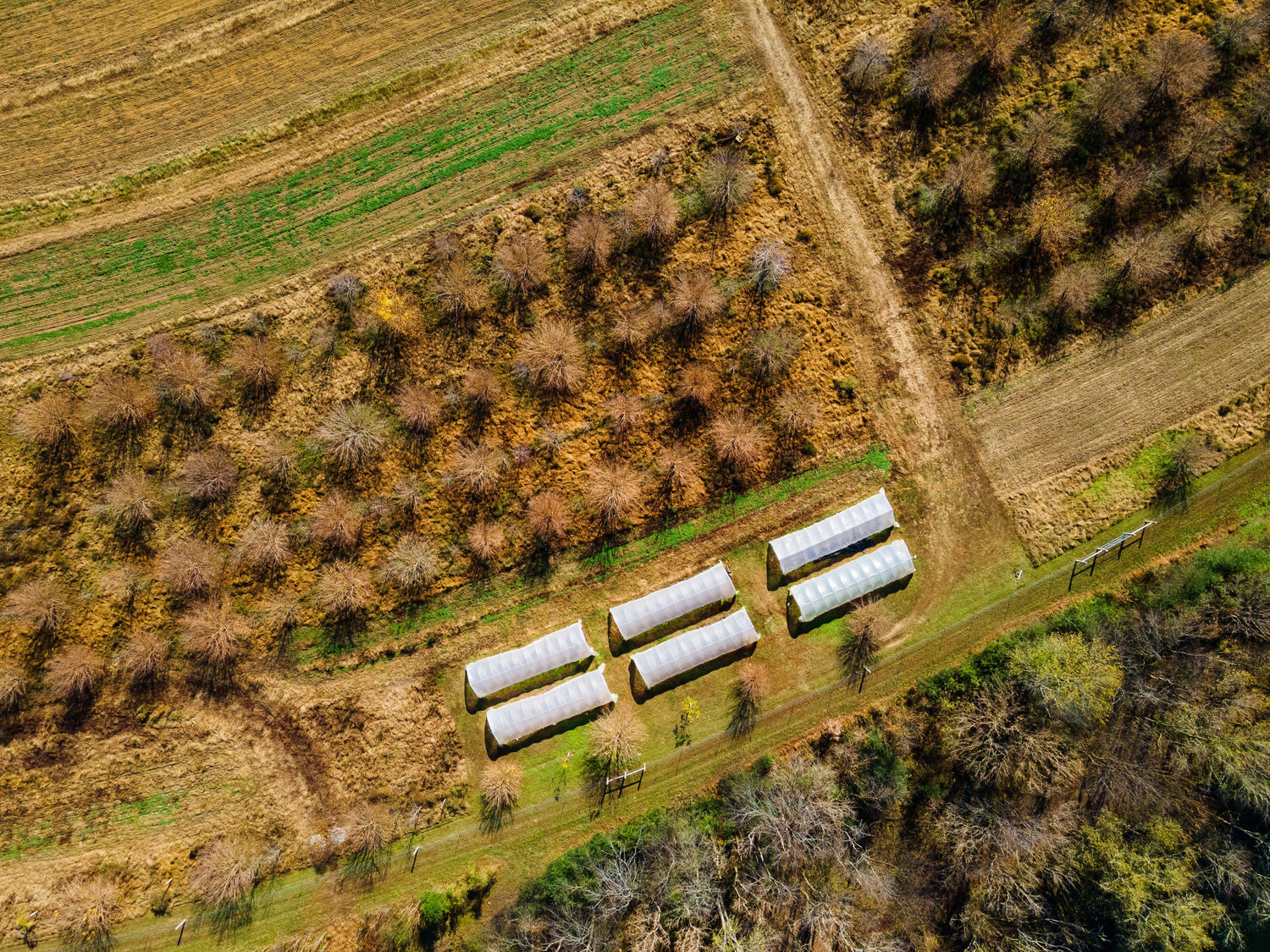 DJI_0668 - Caney Fork Farms