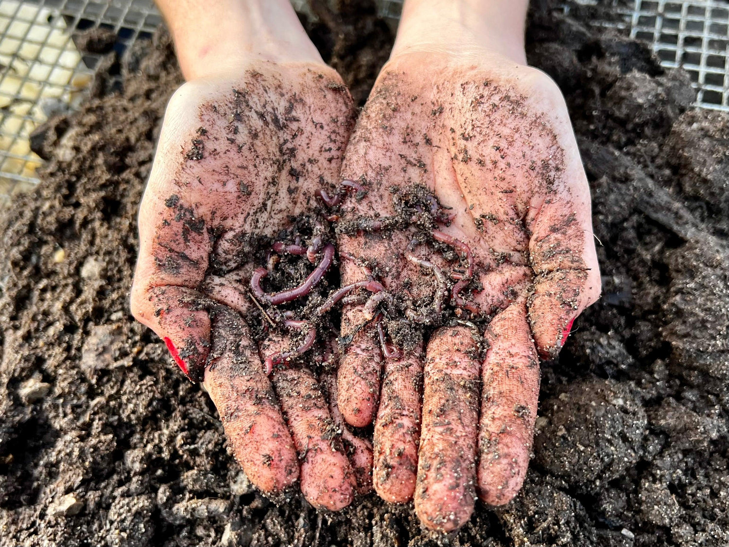 Compost