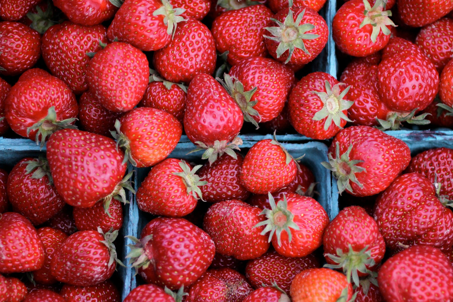 Fruits