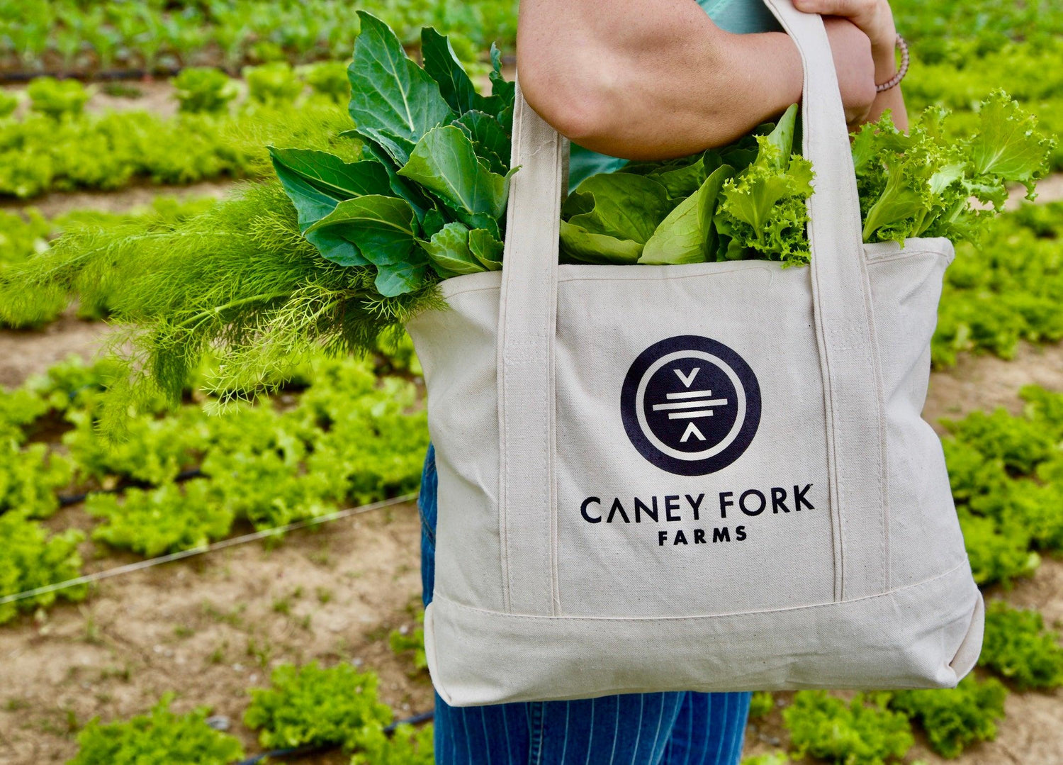 beth - Caney Fork Farms