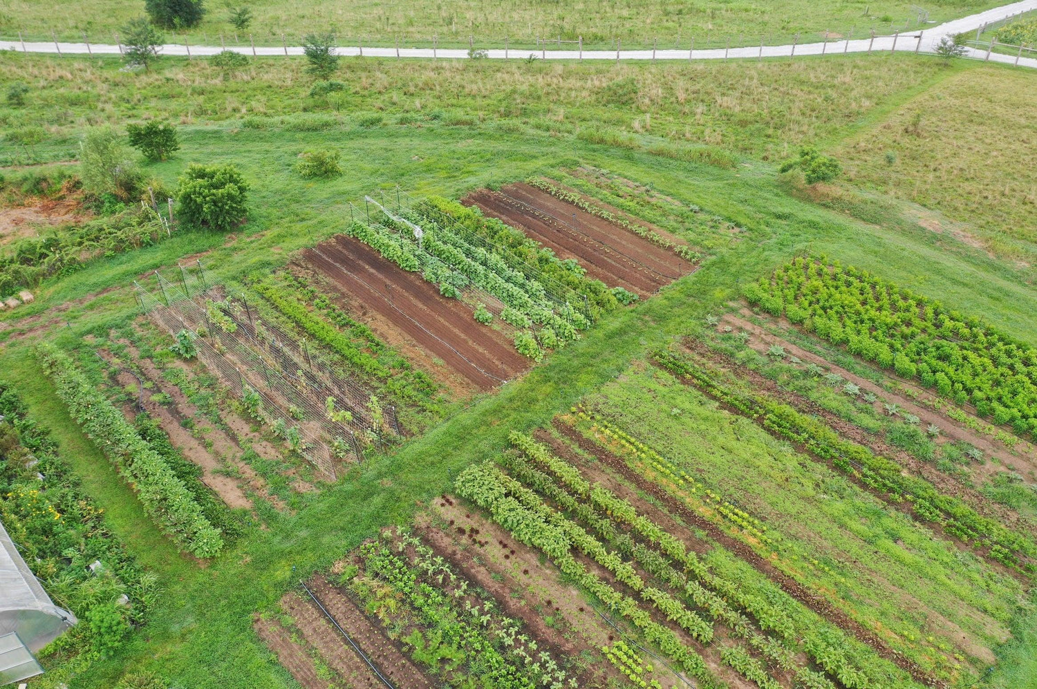garden2 - Caney Fork Farms